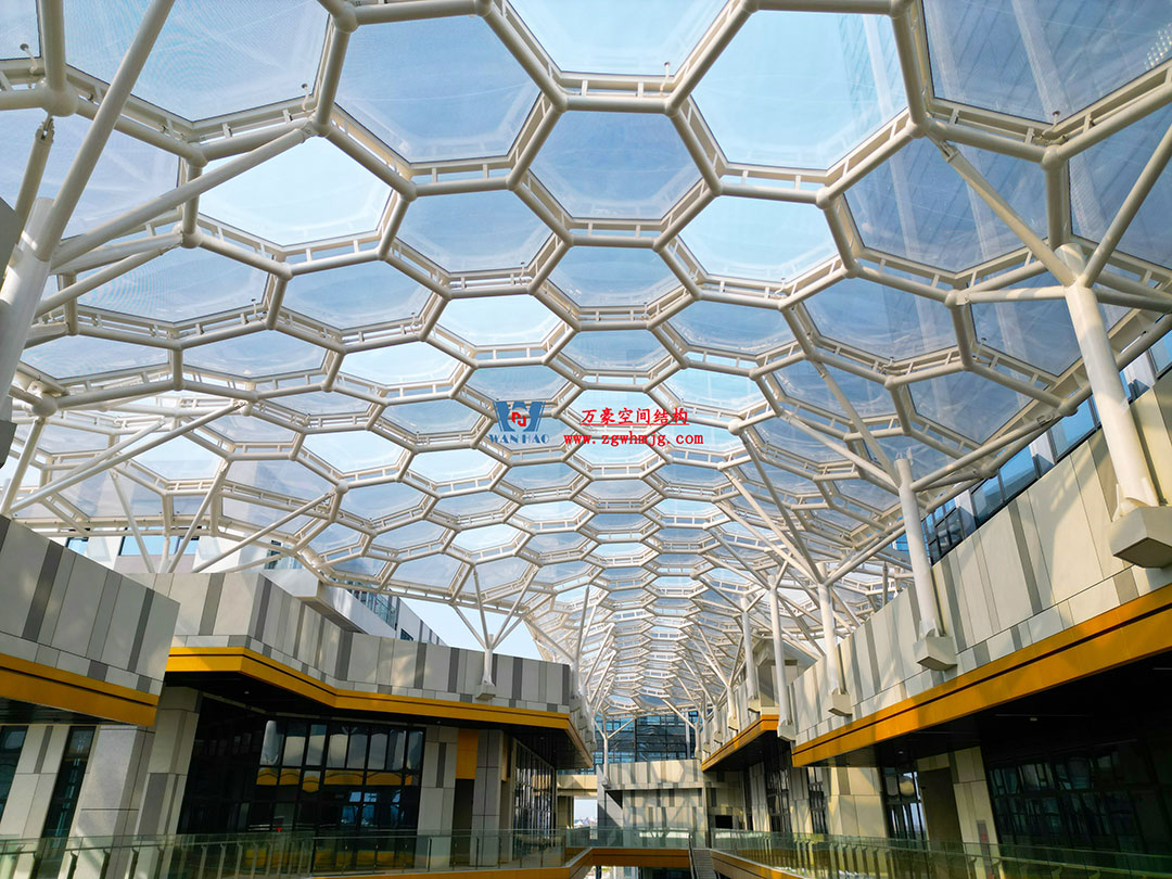 1762498976136704.jpg 5a.jpg